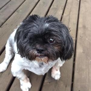 Meet your Posher, Stacy